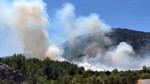 Son dakika | Antalya'da orman yangını: Müdahale başlatıldı