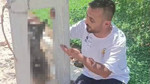 Hatay'da dehşet olay: Çalınan köpek direğe asılı halde ölü bulundu