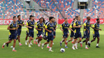 Fenerbahçe'de Şampiyonlar Ligi öncesi müjde: Beklenen oldu