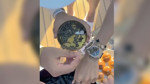 Bodrum'da lüks kol saatlerine havyar koyup yediler! Sosyal medya 'Böyle görgüsüzlük olur mu?' dedi