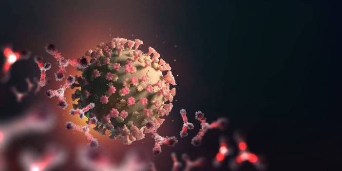 Çin, DSÖ'nün Covid-19'un kökenlerine yönelik yeni inceleme çağrılarını reddetti