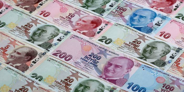 Merkez Bankası'dan vahim grafik: Tüm zamanların en düşük 'Türk Lirası'