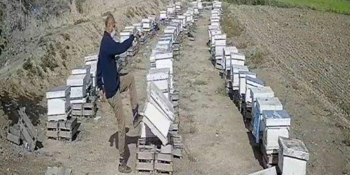 Kızına boşanma davası açan damadının arı kovanlarını parçaladı