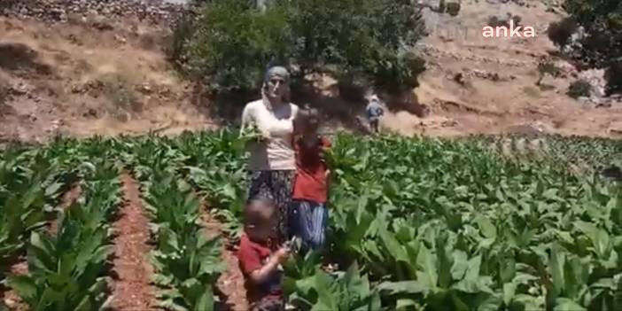 "Ekmeği i&ccedil;in m&uuml;cadele eden bir insanı hapse tıkmak, adalete sığmaz"