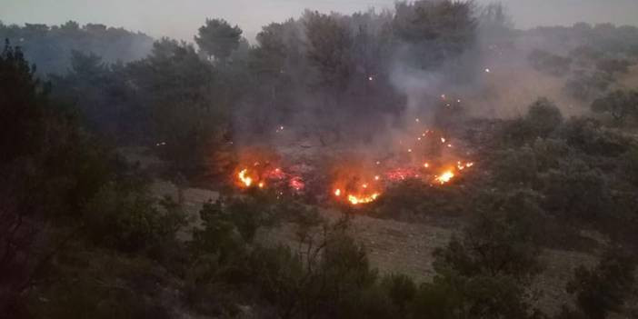 Son Dakika! Manisa Soma'da orman yangını &ccedil;ıktı!