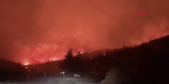 Milas'taki orman yangınına m&uuml;dahale s&uuml;r&uuml;yor