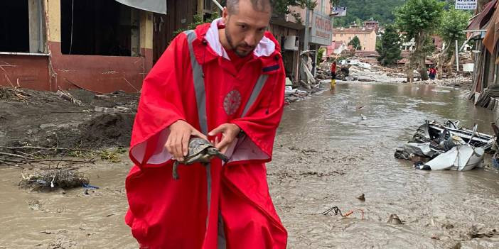 Sel sularına kapılan kaplumbağayı sağlık çalışanı kurtardı
