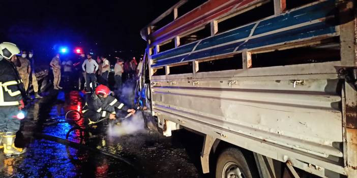 İneklere çarpıp, devrilen kamyonet alev aldı