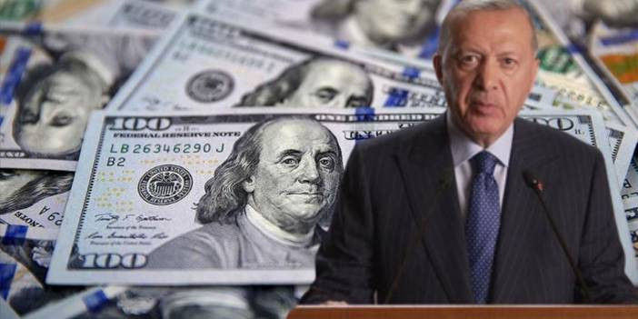Erdoğan d&ouml;neminde doların seyri