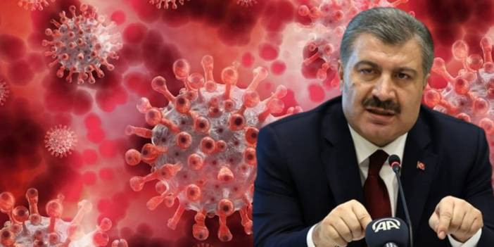T&uuml;rkiye'de maymun &ccedil;i&ccedil;eği vakası 5'e y&uuml;kseldi