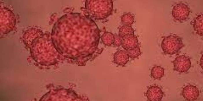 Nijerya'da vaka sayısı 318'e &ccedil;ıktı