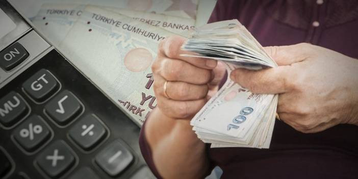 TC Kimlik Numarasını Bilenler Zamlı Maaşını Hemen Öğreniyor!