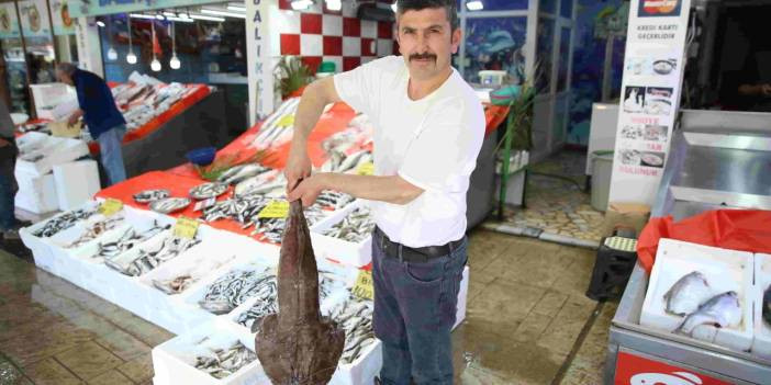 Karadeniz&rsquo;in fener balığı, Kilogram başına rekor fiyata satılıyor