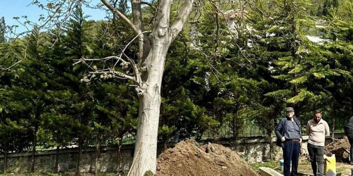 Trabzon evladını bekliyor: Volkan Konak ceviz ağacının altında ebedi uykuya dalacak