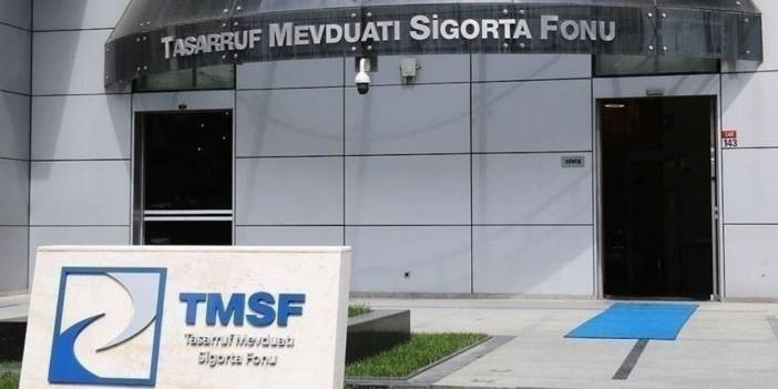 TMSF'nin el koyduğu şirkete ne olur? TMSF ne yapar?