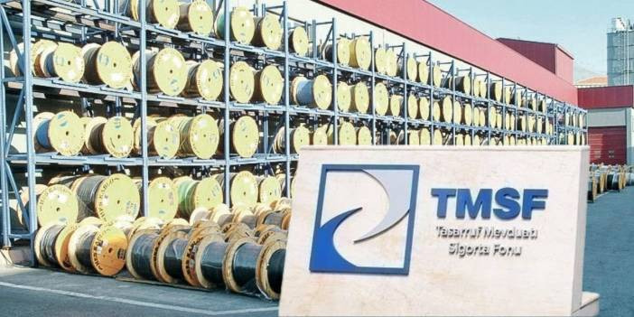 TMSF sonunda dev şirketi sattı!