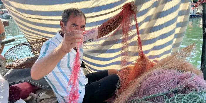 Marmaris'te deniz canavarı: Balık&ccedil;ılar ne yapacaklarını şaşırdı