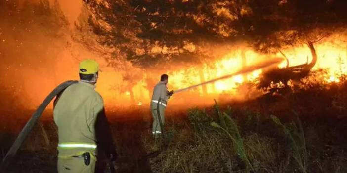 Çanakkale'de orman yangını sonrası korkunç bulgu: Yanmış halde erkek cesedi bulundu