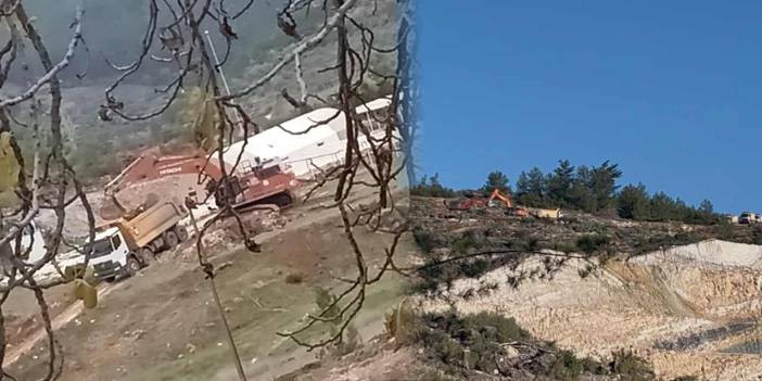 Akbelen&rsquo;de yargı s&uuml;rerken s&ouml;k&uuml;m devam ediyor: Jandarma denetiminde zeytin kıyımı!