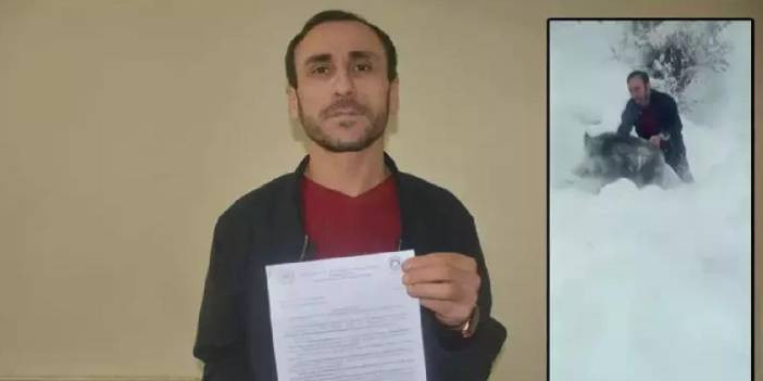 Çıplak elle domuz yakalayan Sinoplu'ya 15 bin lira ceza