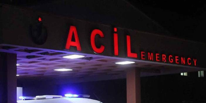 Havalar ısındı ortaya çıktı: Kene bir can daha aldı