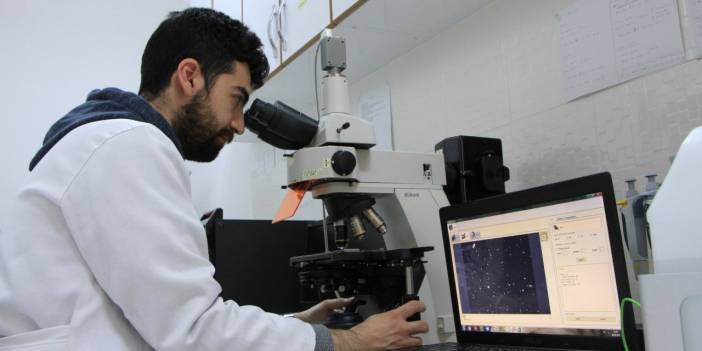T&uuml;rkiye&rsquo;de sperm numunelerini 3 farklı kategoride analiz eden sistem geliştirdi
